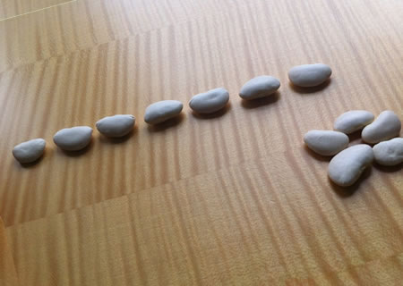 Counting Collections